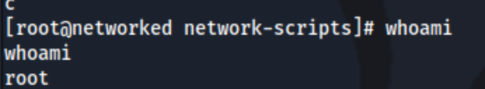 Networked13.png