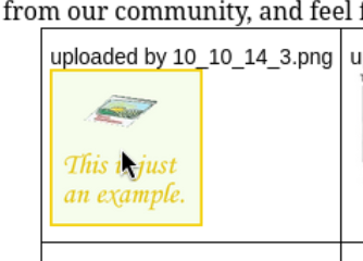 Networked6.png