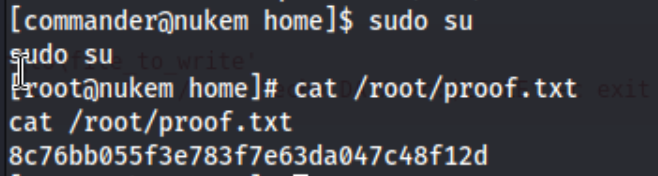 Nukem10.png