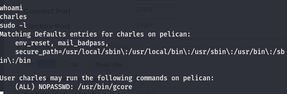 Pelican Gcore