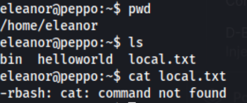 Peppo4.png