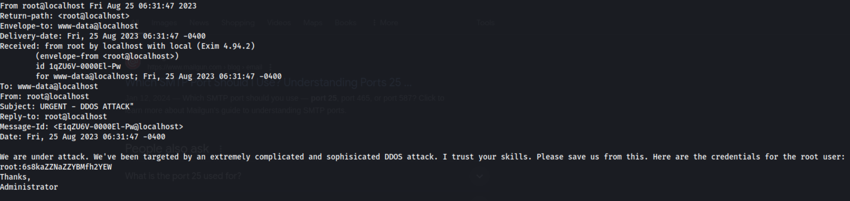 Plum_3.png