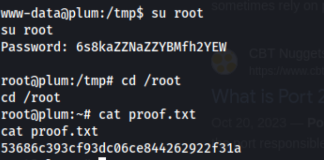 Plum_4.png